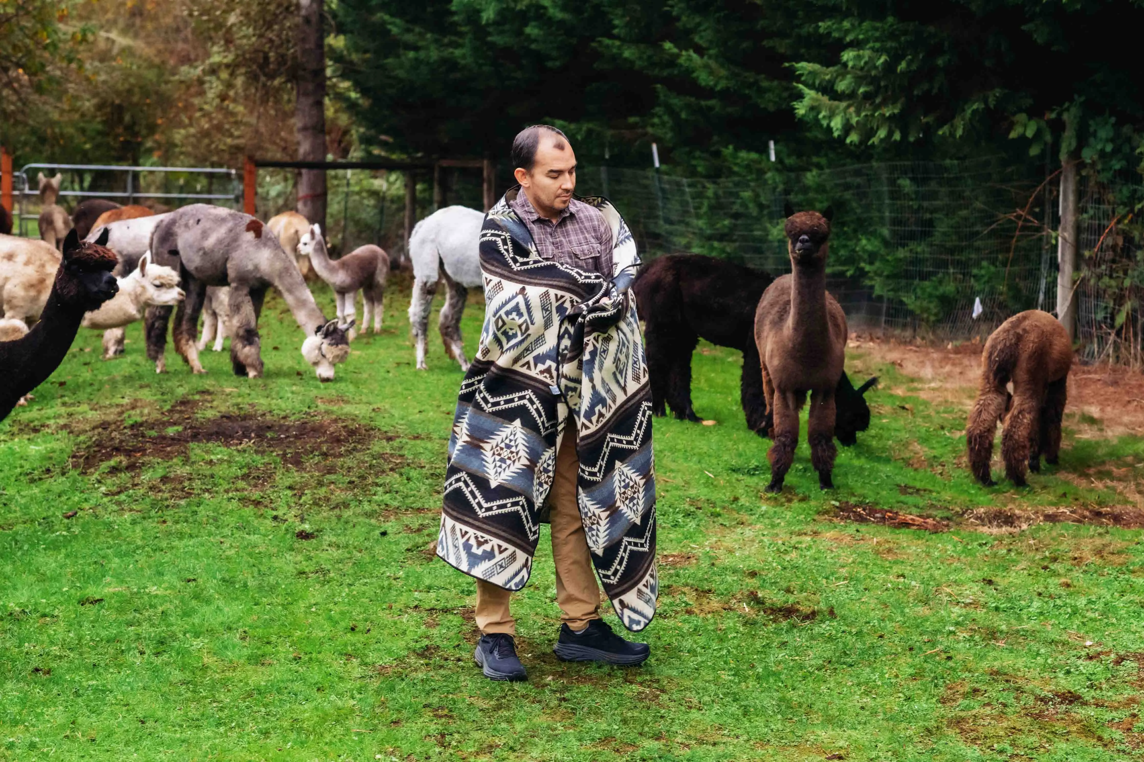 Cuzco - Alpaca Wool Blanket - Enchanted Farms