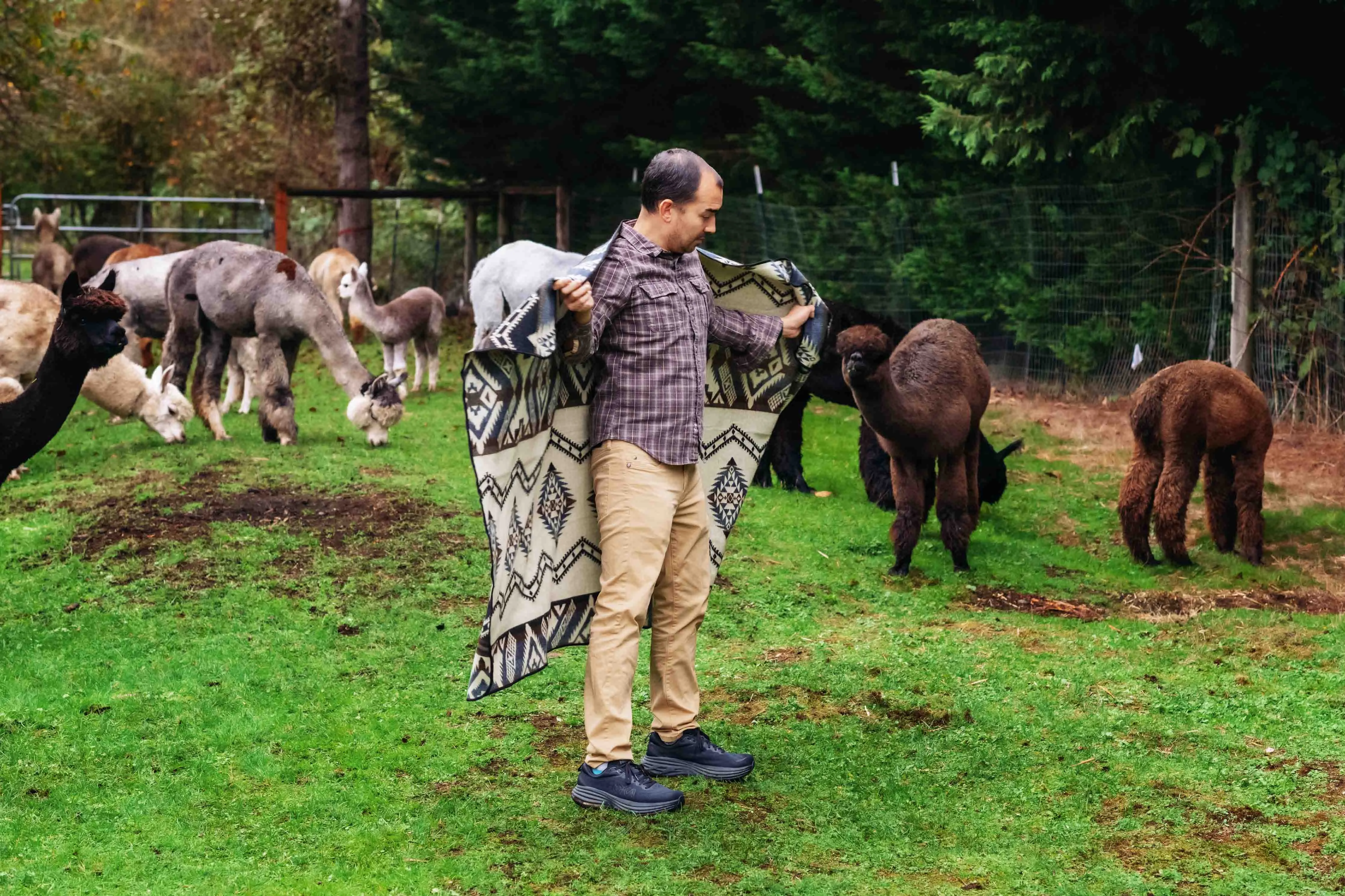 Cuzco - Alpaca Wool Blanket - Enchanted Farms